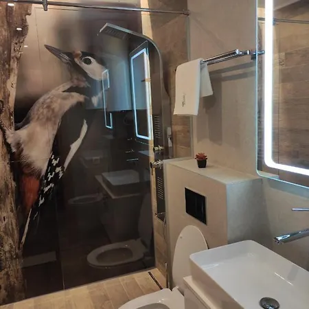 Woody Apartment